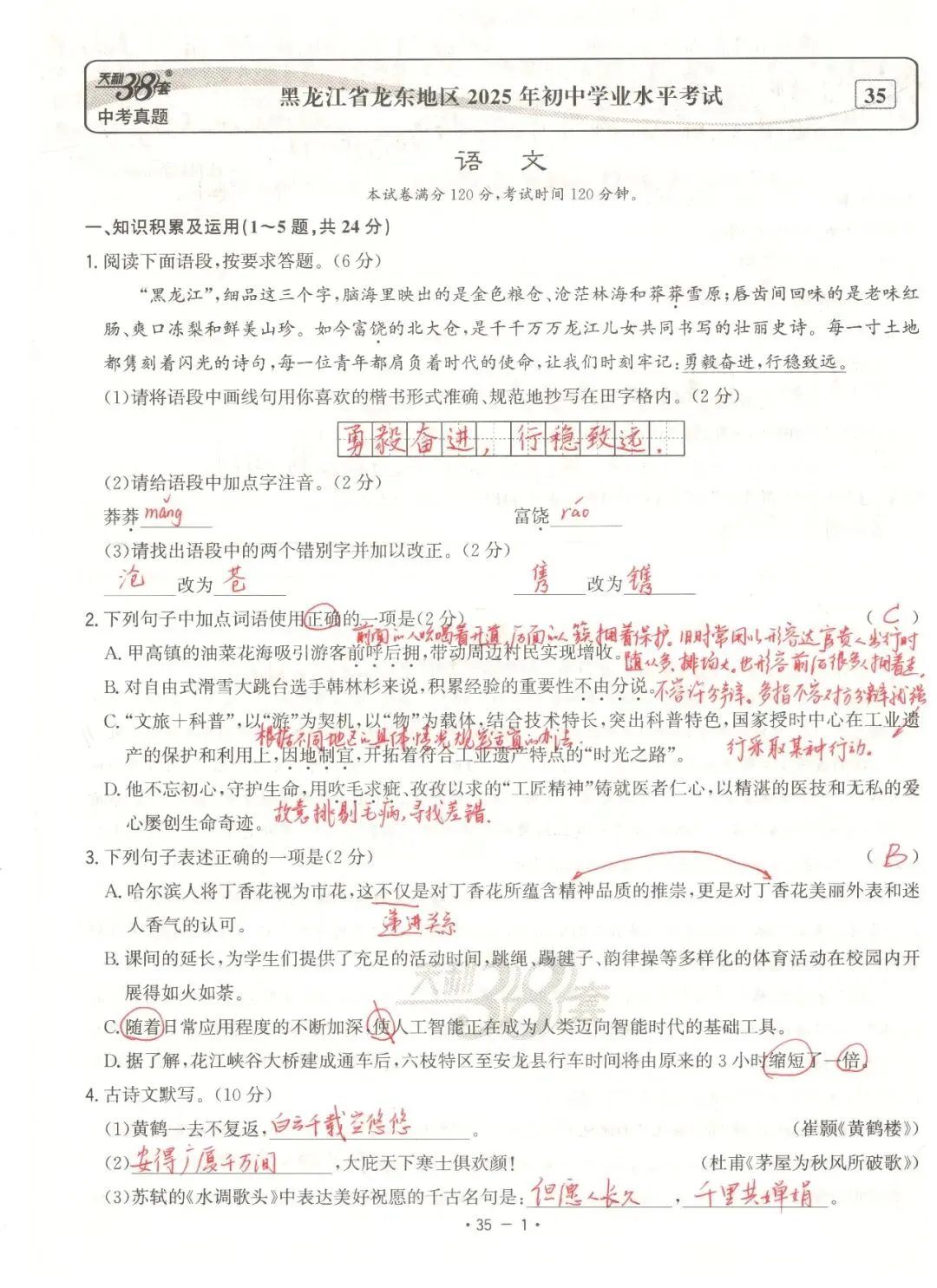 【董董老师的中考真题手批】2025年中考真题·黑龙江龙东地区卷(语文) 第1张