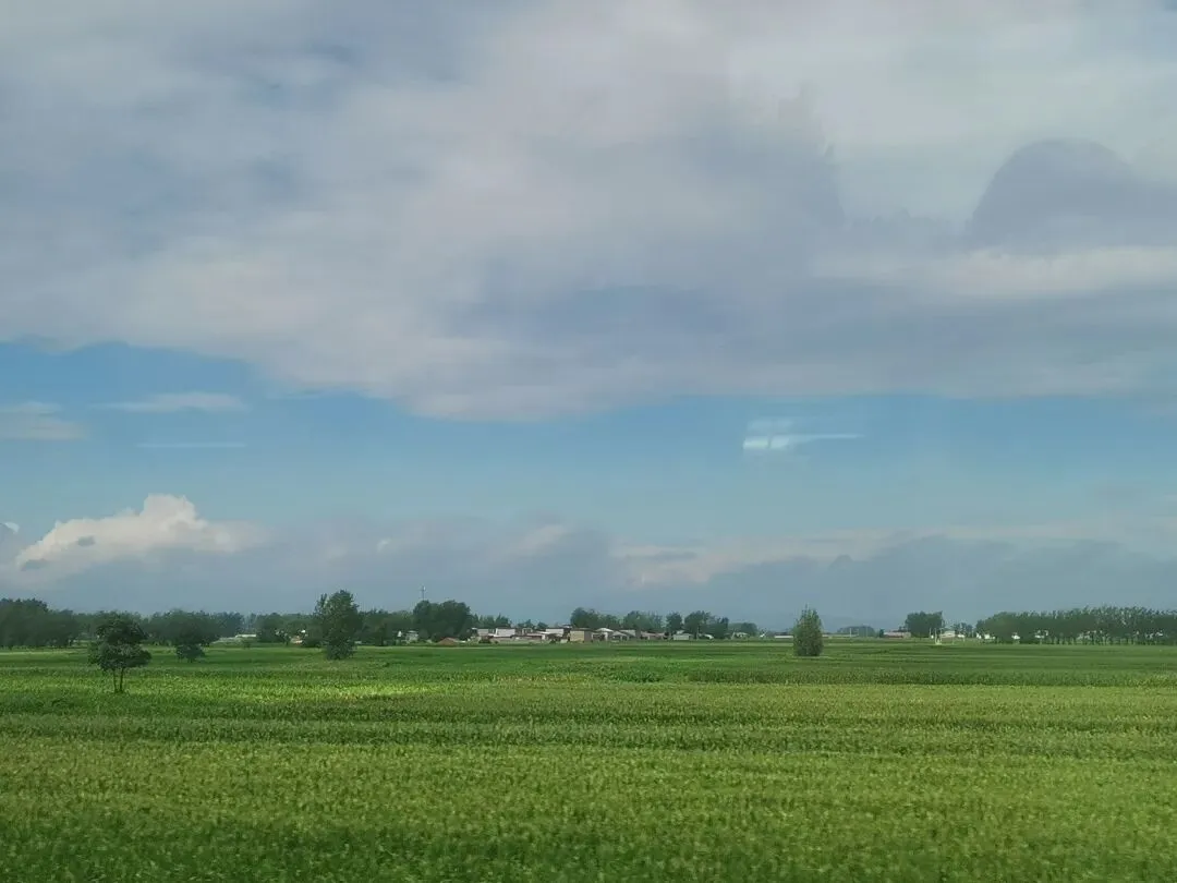 【教研天地】夏海芹 | 2024年中考深圳卷作文题写作指导 第5张