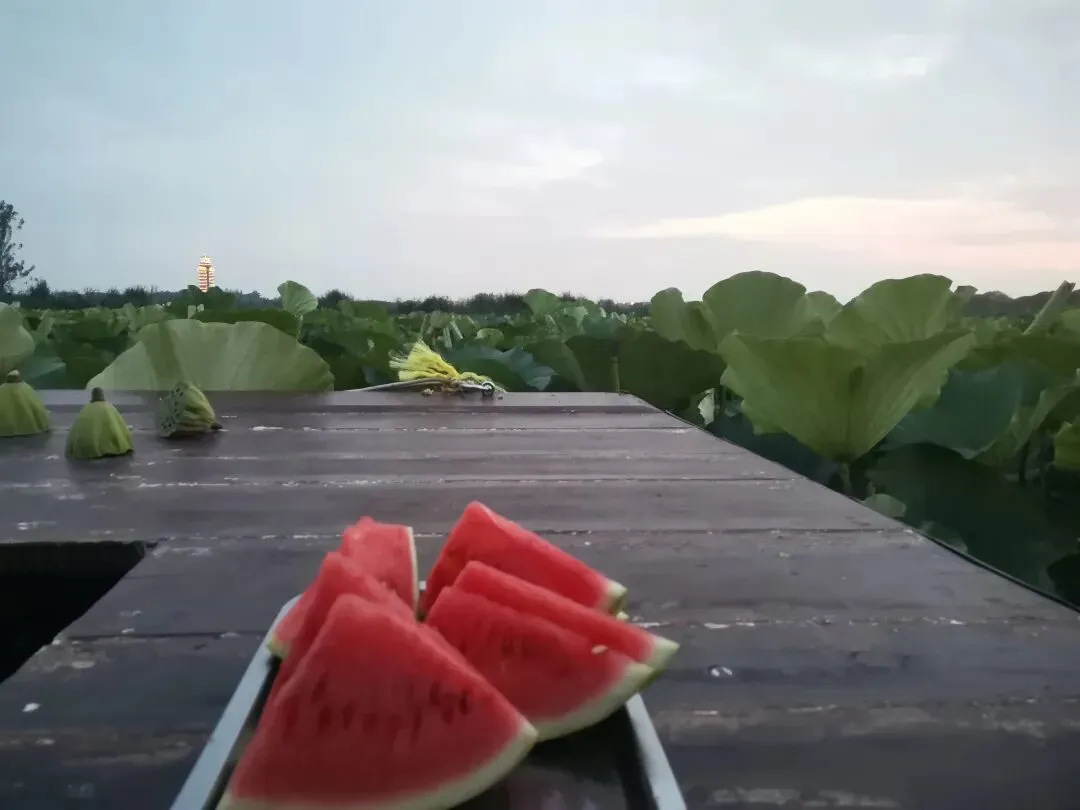 【教研天地】夏海芹 | 2024年中考深圳卷作文题写作指导 第6张