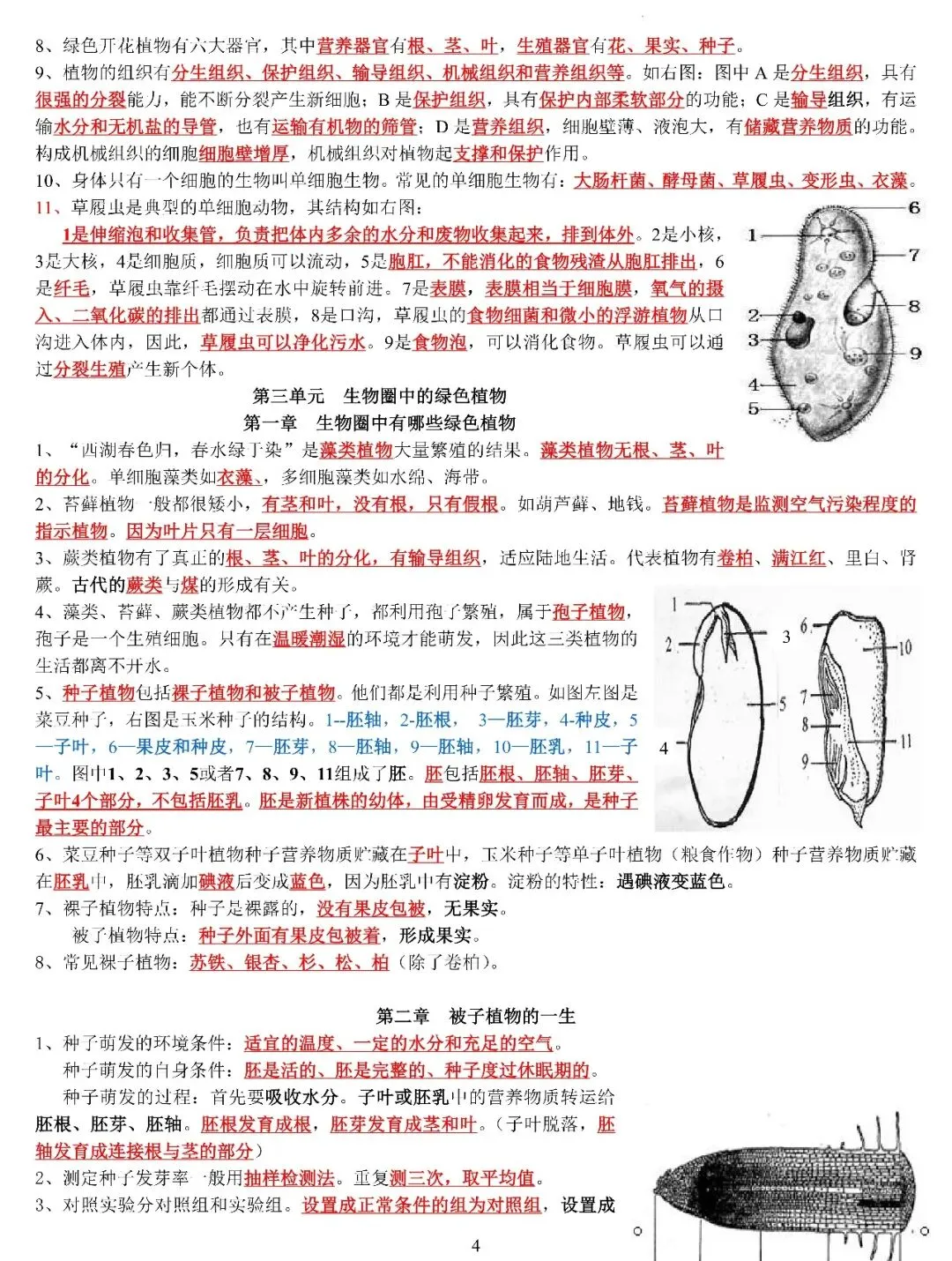 中考生物复习专题 第5张