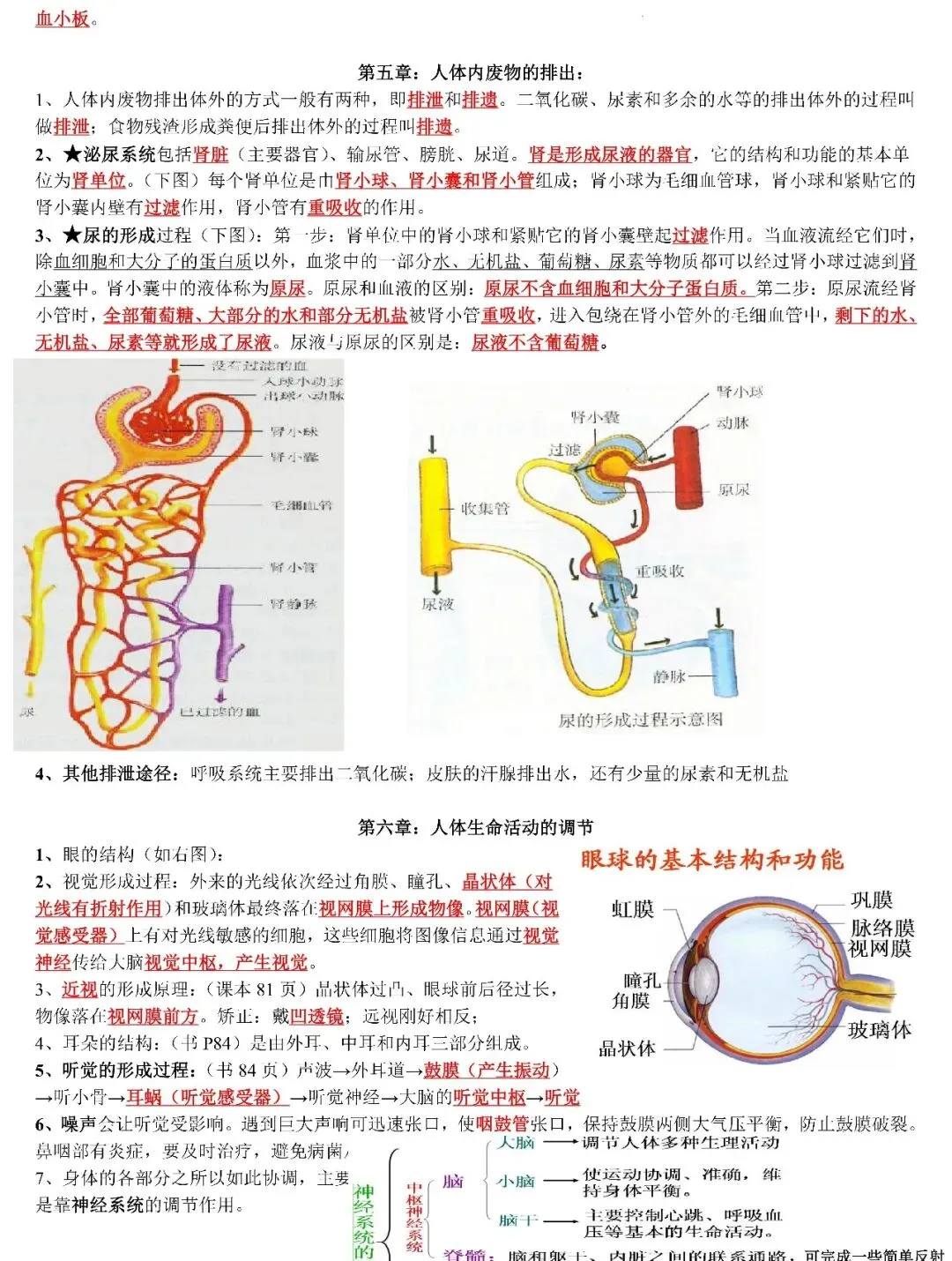 中考生物复习专题 第9张