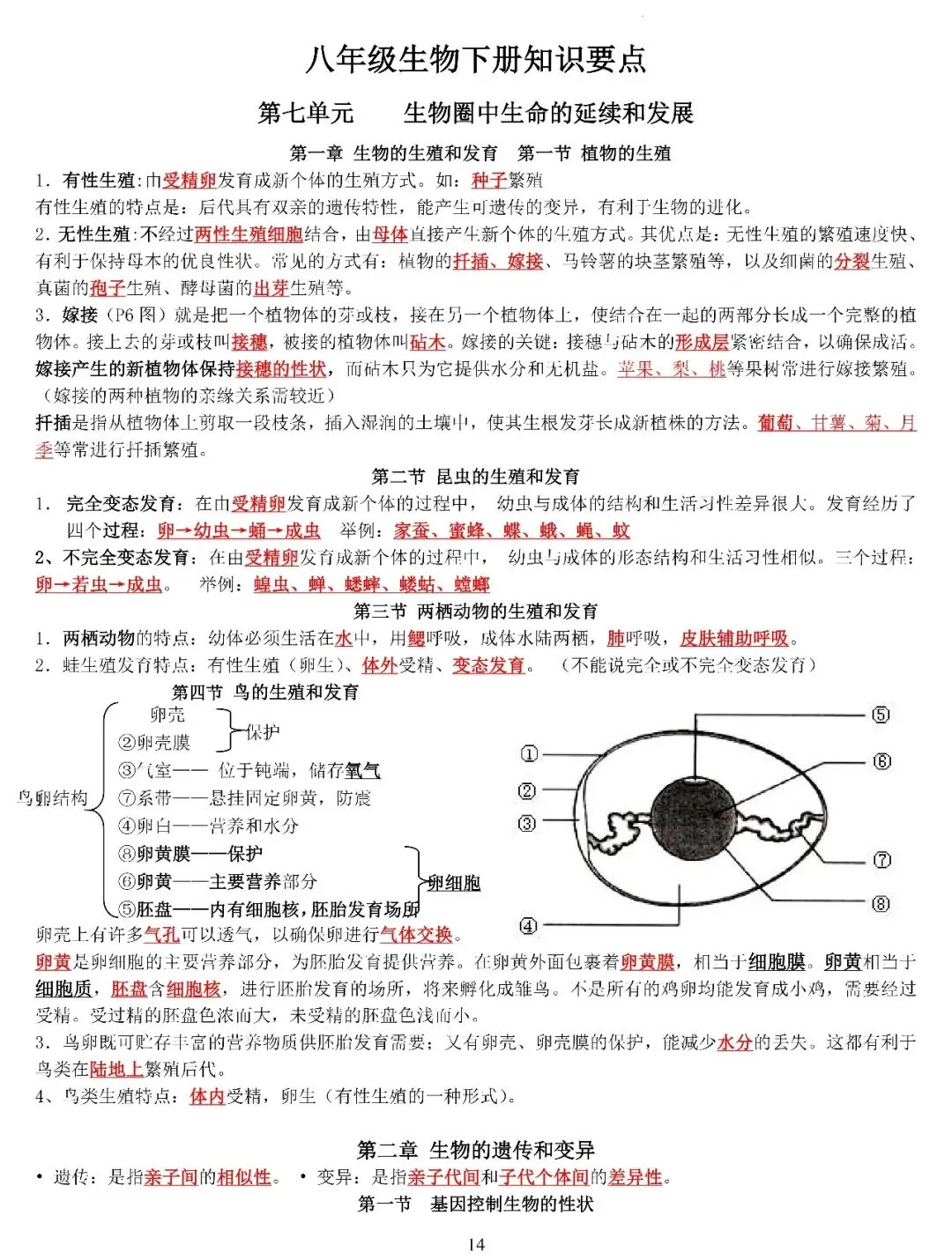 中考生物复习专题 第13张