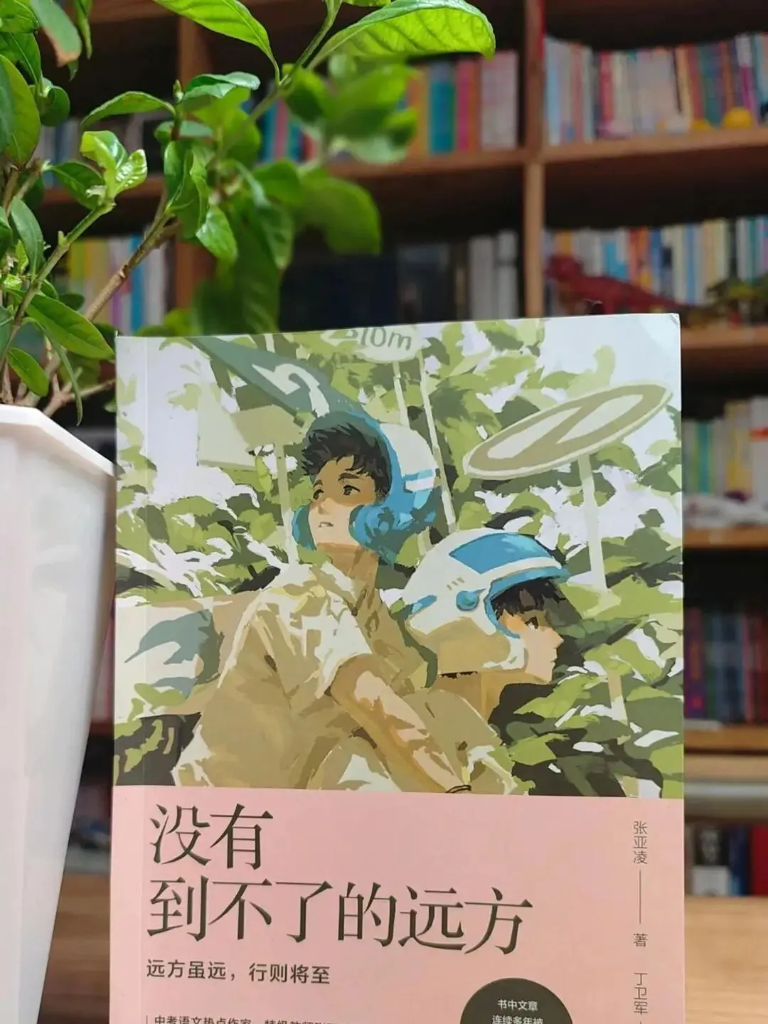 中考现代文阅读热点作家(十四) 第2张