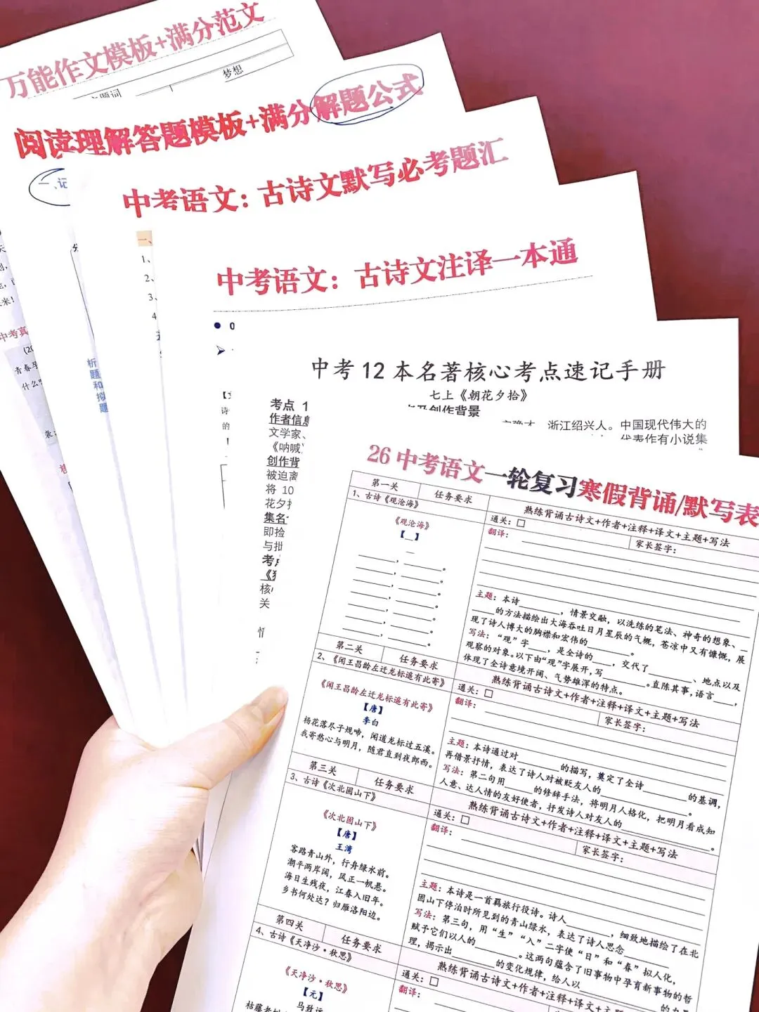 中考总复习各学科知识点总结 第9张