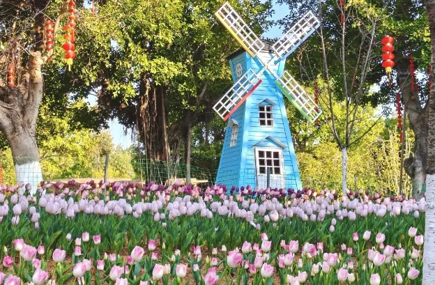 2026福州中考党春节放松指南,玩得尽兴才能蓄能迎考! 第28张