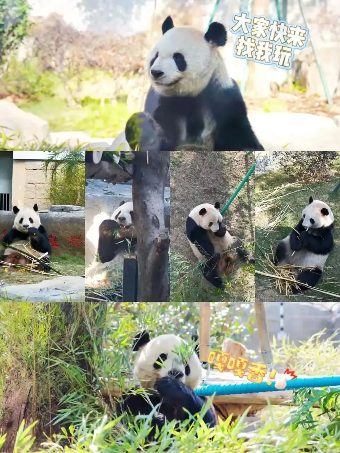 2026福州中考党春节放松指南,玩得尽兴才能蓄能迎考! 第37张