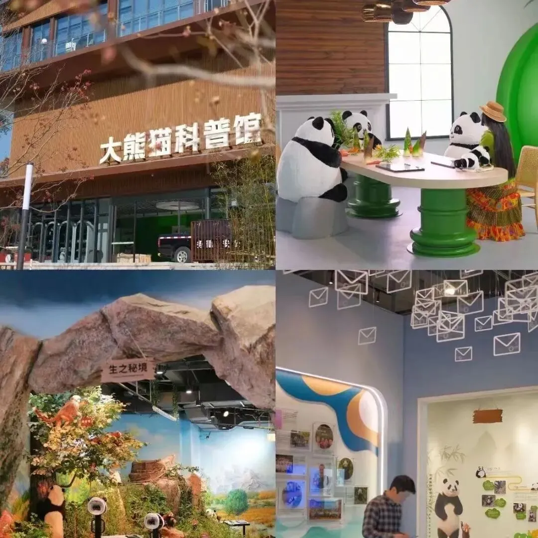 2026福州中考党春节放松指南,玩得尽兴才能蓄能迎考! 第42张