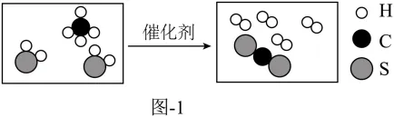 中考化学专题-图像分析 第1张