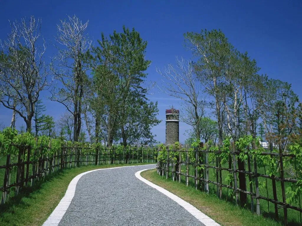 《西游记》中考简答题(人物) 第1张 《西游记》中考简答题(人物) 第1张