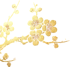 深度荐读 | 英语中考命题新趋势:从“解题”到“解决问题”的范式转型 《英语考查学生问题解决能力试题的特征与命题策略》 第14张 深度荐读 | 英语中考命题新趋势:从“解题”到“解决问题”的范式转型 《英语考查学生问题解决能力试题的特征与命题策略》 第14张