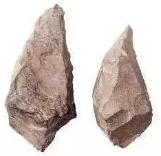 2025年甘肃省平凉市中考历史真题 第2张 2025年甘肃省平凉市中考历史真题 第2张