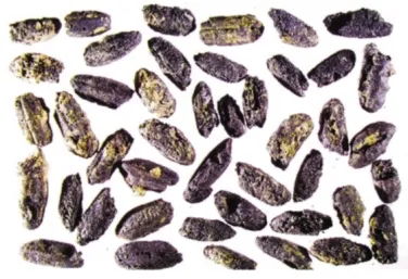 2025年甘肃省平凉市中考历史真题 第3张 2025年甘肃省平凉市中考历史真题 第3张