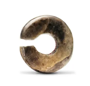 2025年广东省广州市中考历史真题 第2张 2025年广东省广州市中考历史真题 第2张