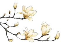 周红批改、逸名评点‖中考优秀作文∣茶水情 第3张