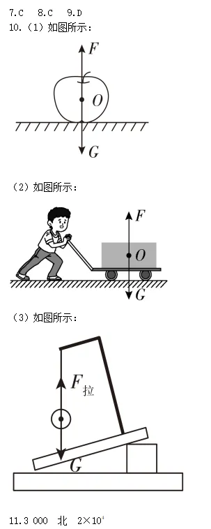 【开学一轮复习】5年5考!锁定中考物理必考点,直击得分点(第四期)! 第10张