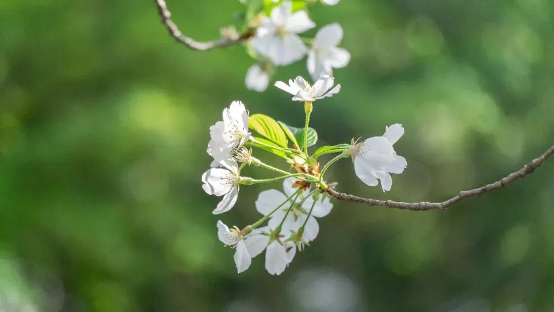 中考数学命题新趋势 第1张