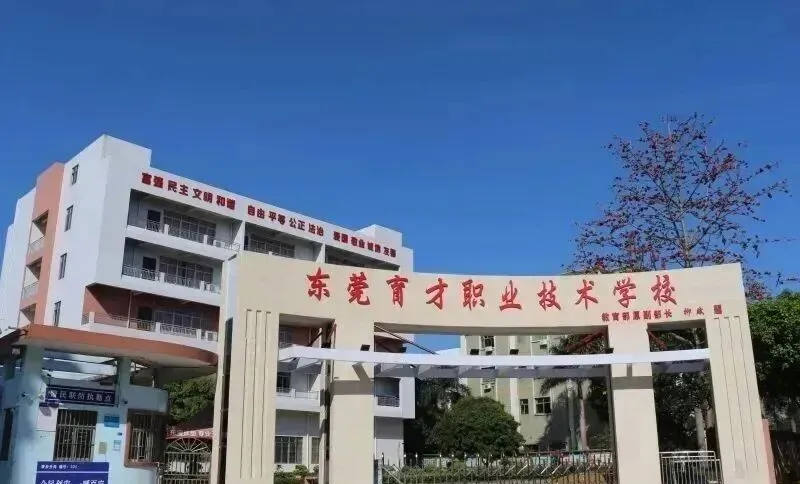 中考分流必备|东莞10所优质中职丨2026精选 第7张