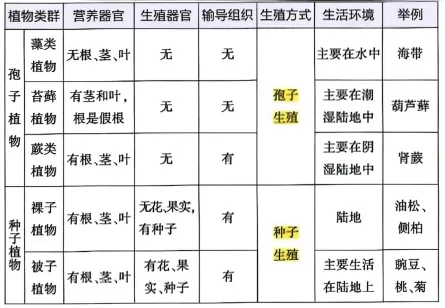 炸裂总结!中考生物必考分类,背会直接封神!! 第3张 炸裂总结!中考生物必考分类,背会直接封神!! 第3张