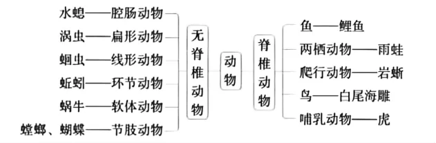 炸裂总结!中考生物必考分类,背会直接封神!! 第5张 炸裂总结!中考生物必考分类,背会直接封神!! 第5张