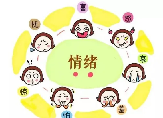 2026版《中考语法教案+学案》(WORD版,免费下载) 第9张