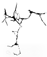 中考作文写作抒情议论方式训练:气球 第7张