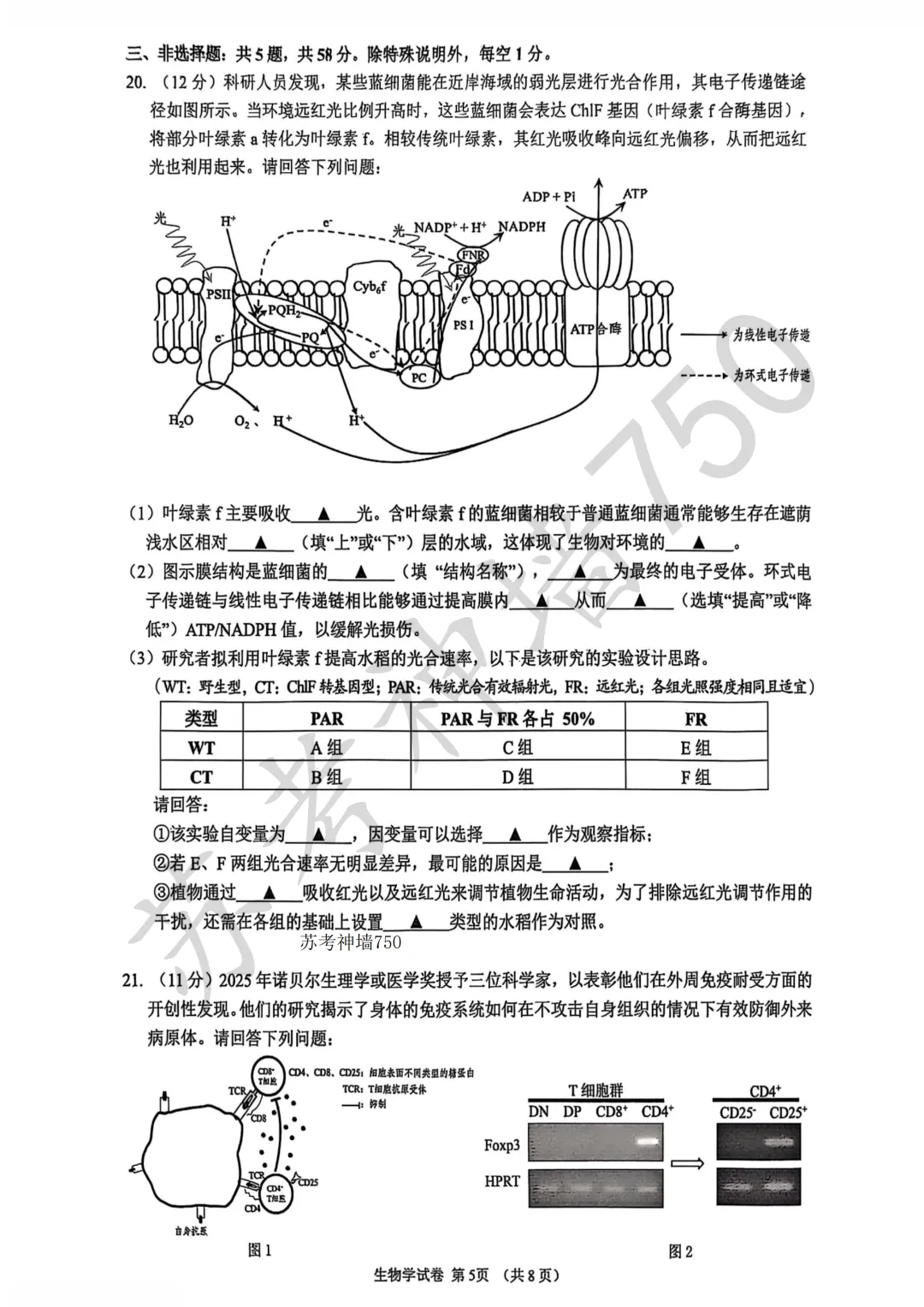 九科全!镇江市2026届高三上期中考试题答案汇总 第50张