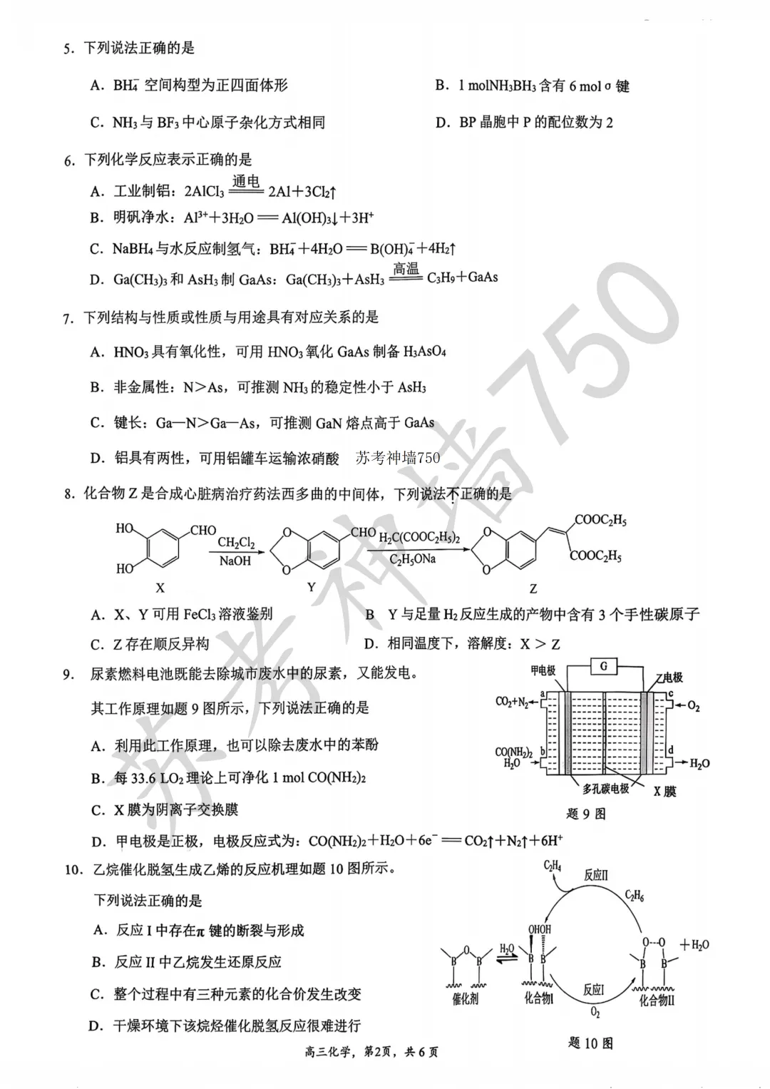 九科全!镇江市2026届高三上期中考试题答案汇总 第56张