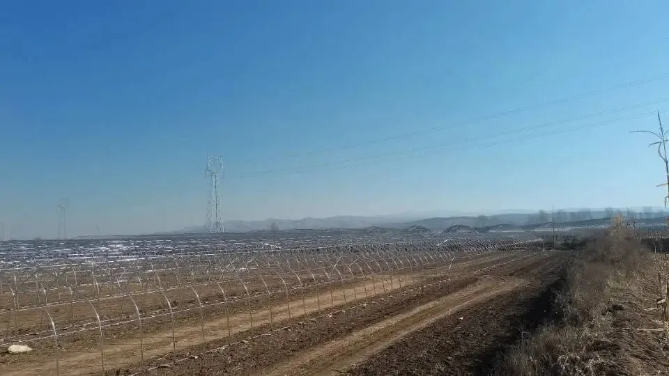 中考倒计时133天|新年 第2张