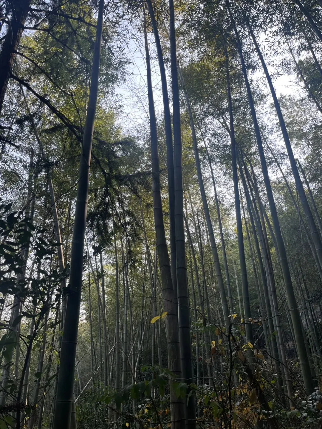 中考最后100天:家长做好三件事,孩子至少多考30分 第3张