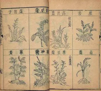 2025年河南省中考历史真题 第4张