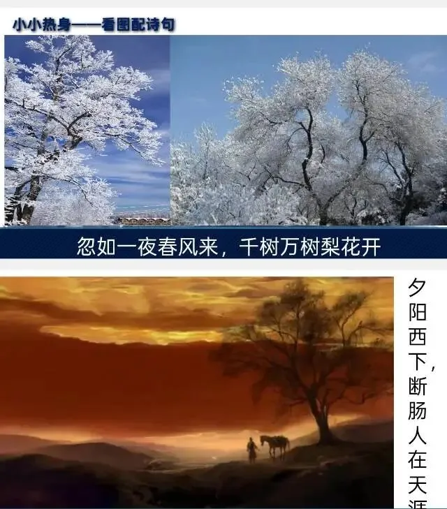 中考课内外古诗词鉴赏!可上公开课 第6张