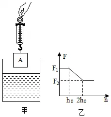 天津市中考物理浮力多选——测力计 第43张 天津市中考物理浮力多选——测力计 第43张
