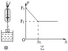 天津市中考物理浮力多选——测力计 第63张 天津市中考物理浮力多选——测力计 第63张