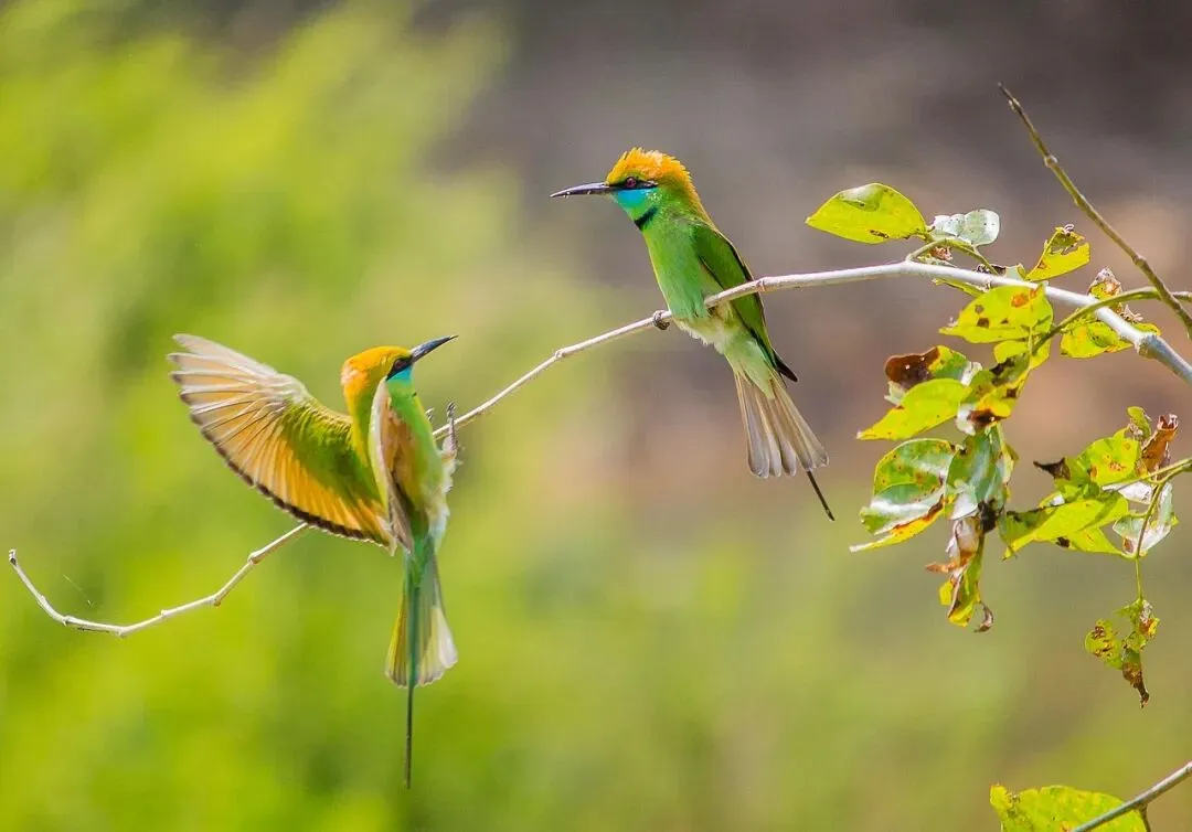 中考落榜、放弃大学、自学考研:我的人生我做主,因为我有这样的父母 第1张 中考落榜、放弃大学、自学考研:我的人生我做主,因为我有这样的父母 第1张