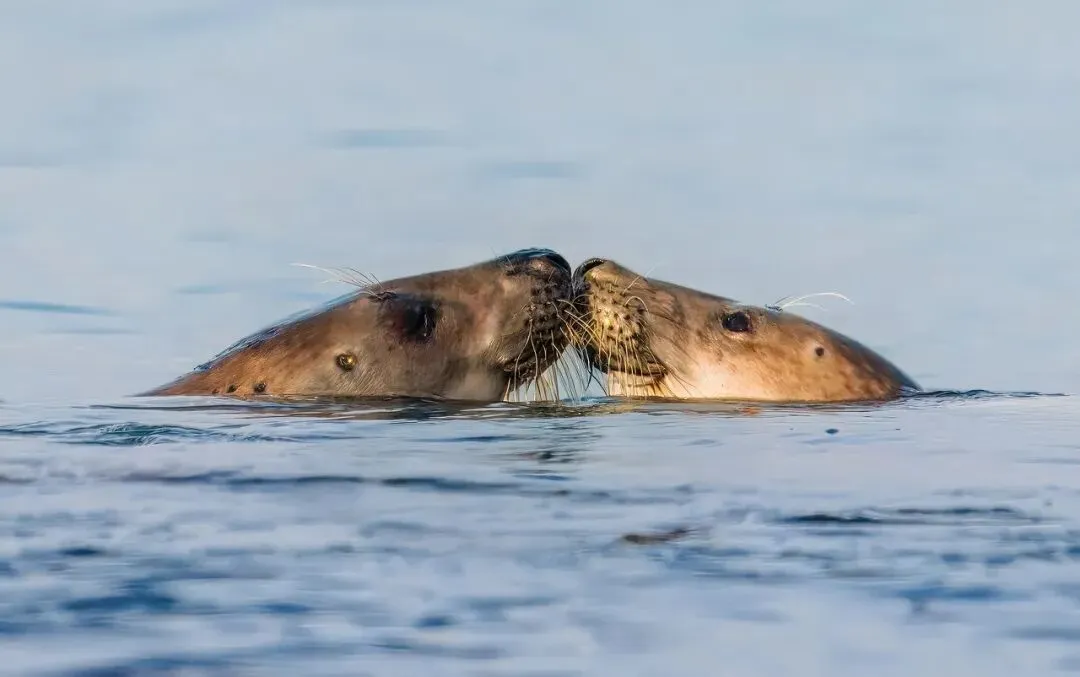 中考落榜、放弃大学、自学考研:我的人生我做主,因为我有这样的父母 第2张 中考落榜、放弃大学、自学考研:我的人生我做主,因为我有这样的父母 第2张