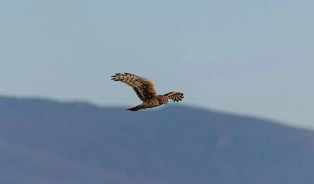 中考落榜、放弃大学、自学考研:我的人生我做主,因为我有这样的父母 第3张 中考落榜、放弃大学、自学考研:我的人生我做主,因为我有这样的父母 第3张