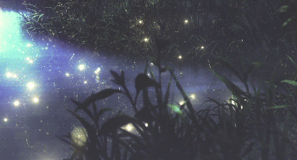 中考满分作文欣赏:《一段_______的旅程》半命题作文,范文5篇附点评 第8张