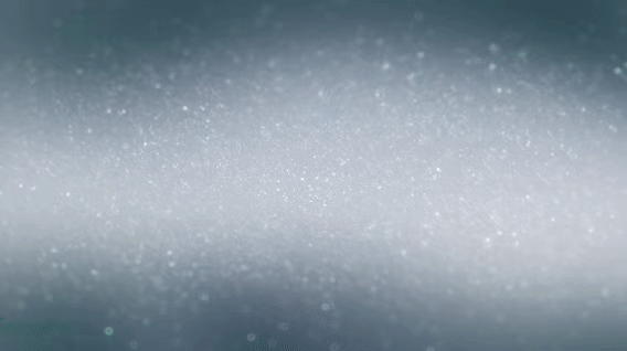 中考名著导读葵花宝典|《林海雪原》杨子荣怎么上的威虎山? 第1张