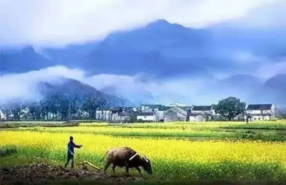 《中考冲刺:心理+全科补短板 ;完整打卡计划》按月+每周+每天;可直接执行内容极简、清晰、A4直接打印用. 第1张 《中考冲刺:心理+全科补短板 ;完整打卡计划》按月+每周+每天;可直接执行内容极简、清晰、A4直接打印用. 第1张