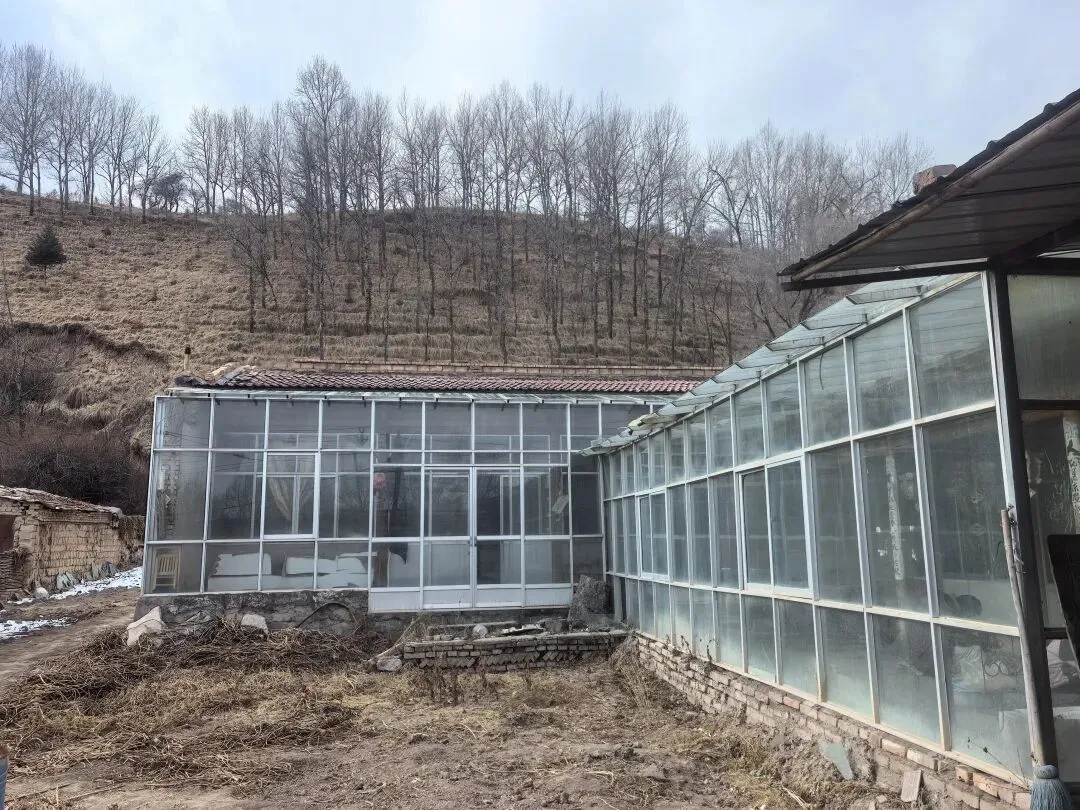 中考作文.亲情 第2张