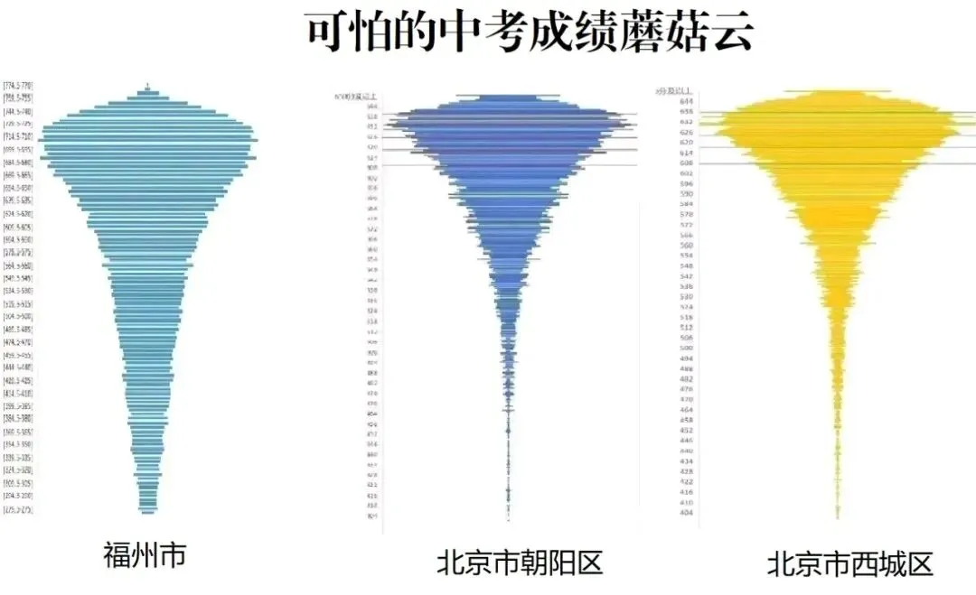 回村一趟,我竟然看到了全面取消中考后的未来... 第3张