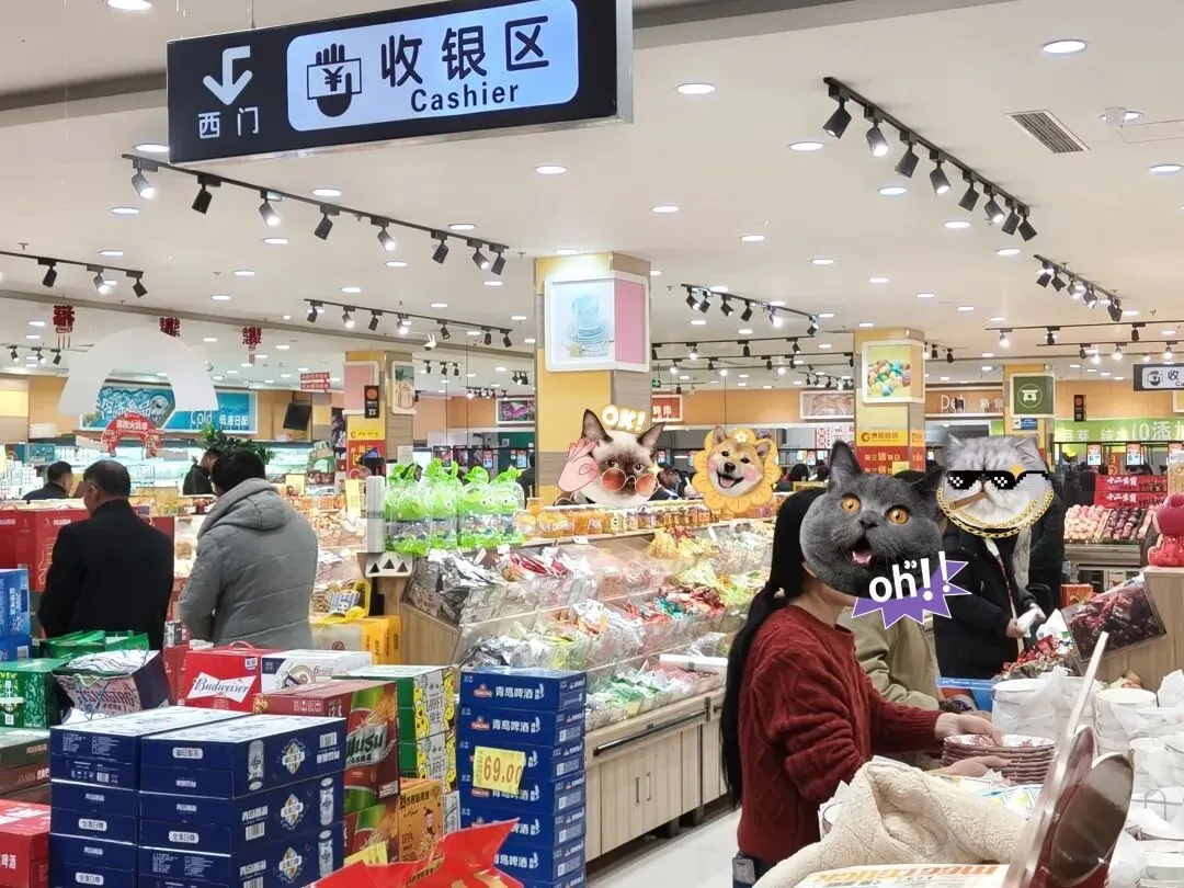 回村一趟,我竟然看到了全面取消中考后的未来... 第4张