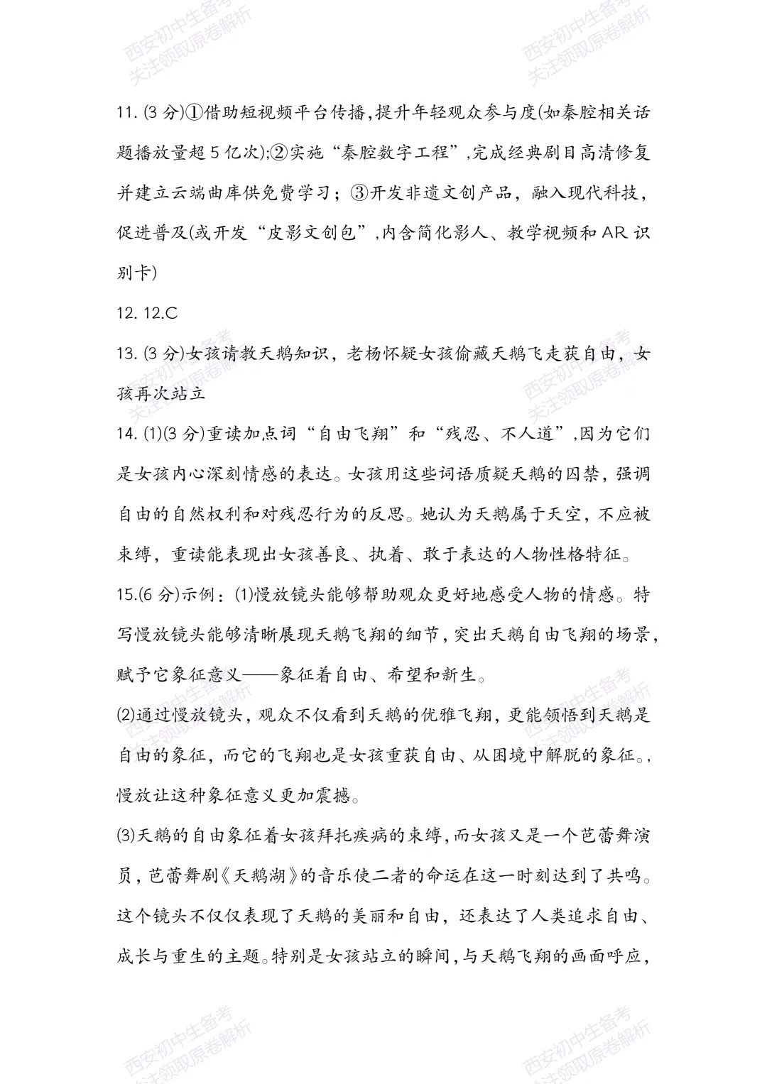 中考复习,五大名校真题!西安模拟:【2025西工大附中】九年级八模考试,语文试题,试卷+完整版答案,免费下载! 第17张