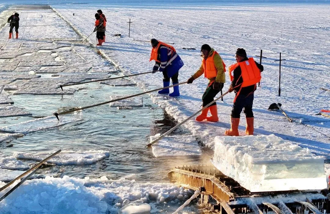 【中考阅读指导】什么样的冰能做冰雕?(任延宇)黑龙江龙东地区2025 第3张 【中考阅读指导】什么样的冰能做冰雕?(任延宇)黑龙江龙东地区2025 第3张