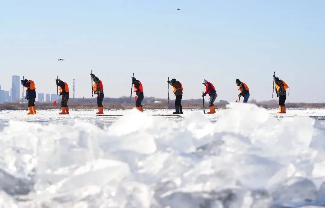 【中考阅读指导】什么样的冰能做冰雕?(任延宇)黑龙江龙东地区2025 第7张 【中考阅读指导】什么样的冰能做冰雕?(任延宇)黑龙江龙东地区2025 第7张