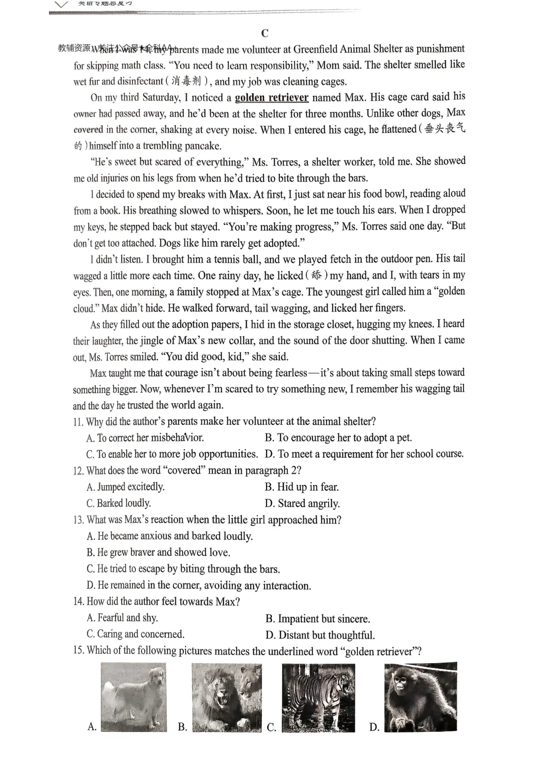 【资源分享】2026《天下中考•英语专题总复习》-阅读理解 第41张