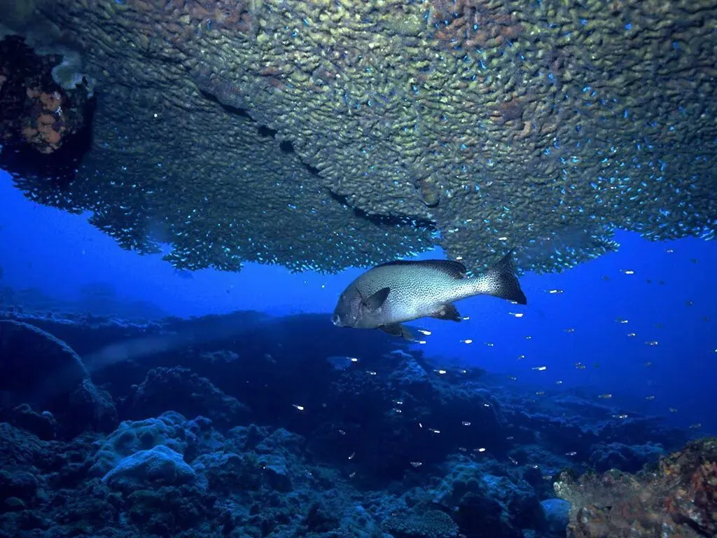 《小议“包容”》(2014年湖南娄底中考满分作文) 第1张