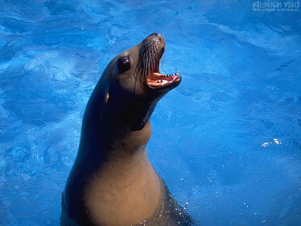 《西游记》中考简答题(主题) 第1张