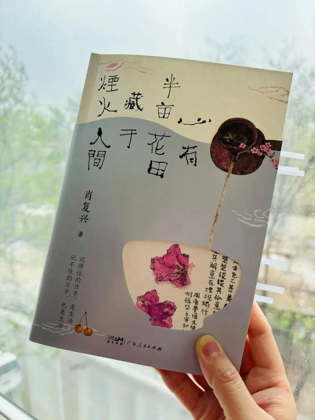 中考现代文阅读热点作家(十七) 第1张