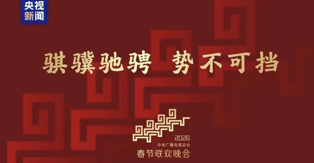 2026年央视春晚中考作文素材集锦 第1张